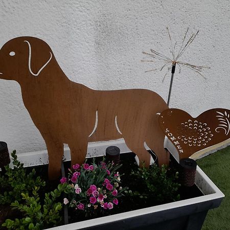 Fewo Naturgetreu Medebach Exterior foto