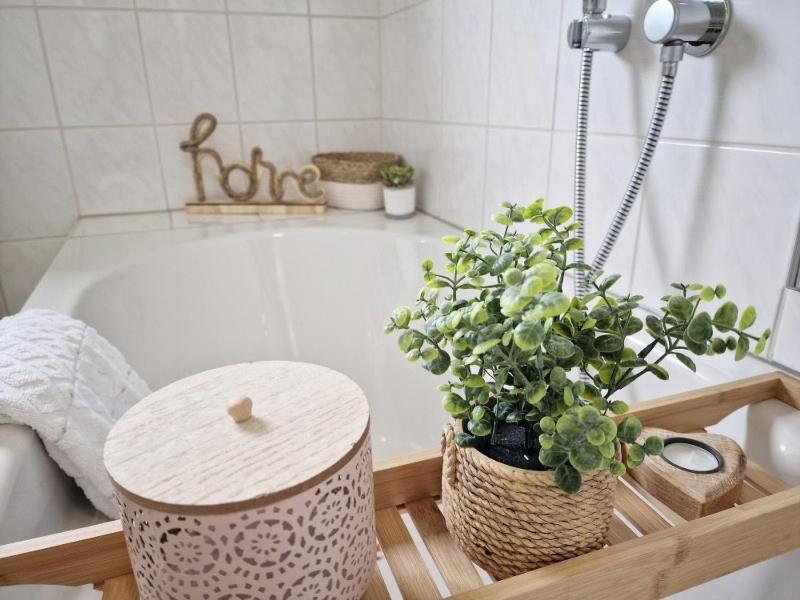 Fewo Naturgetreu Medebach Exterior foto